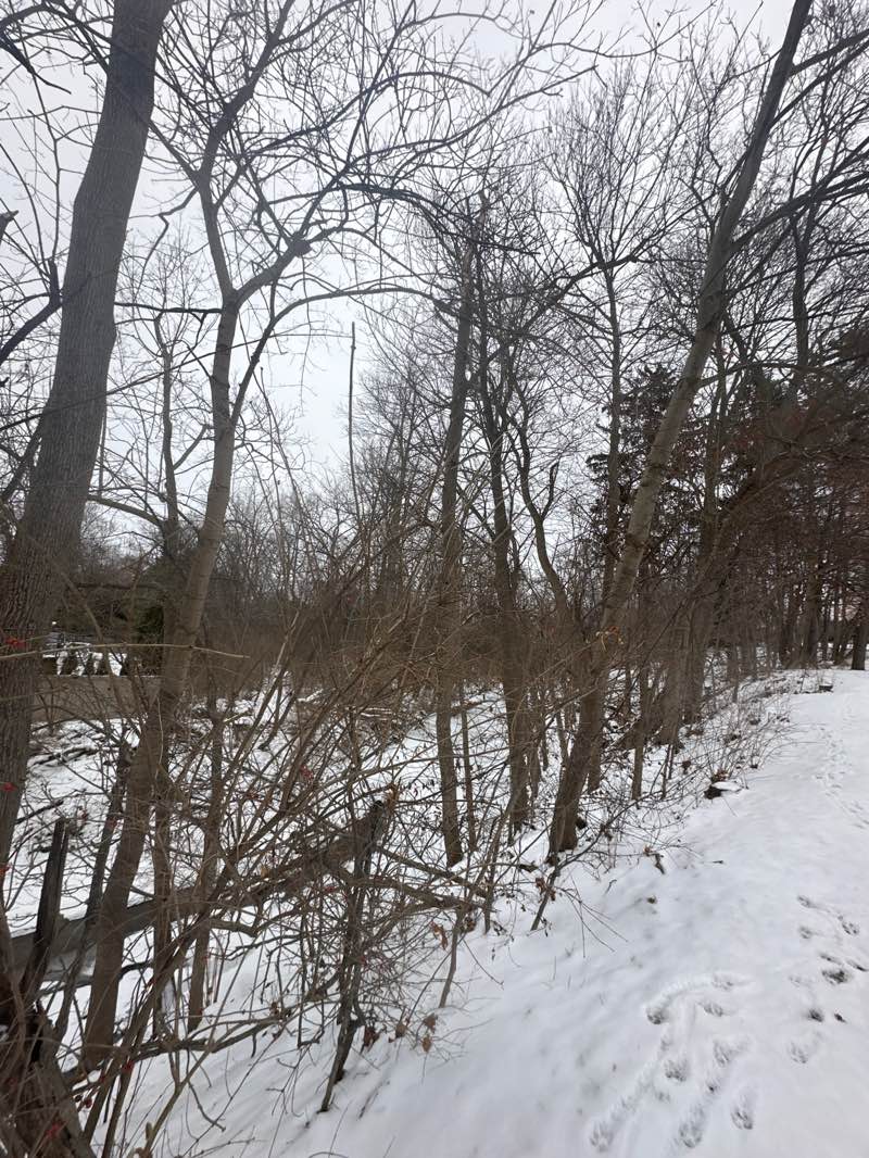 walking near me in Birmingham Historical Museum and Park in winter