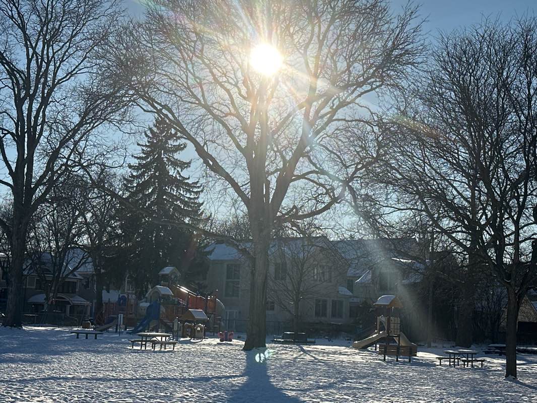 walking near me in Howarth Park in winter