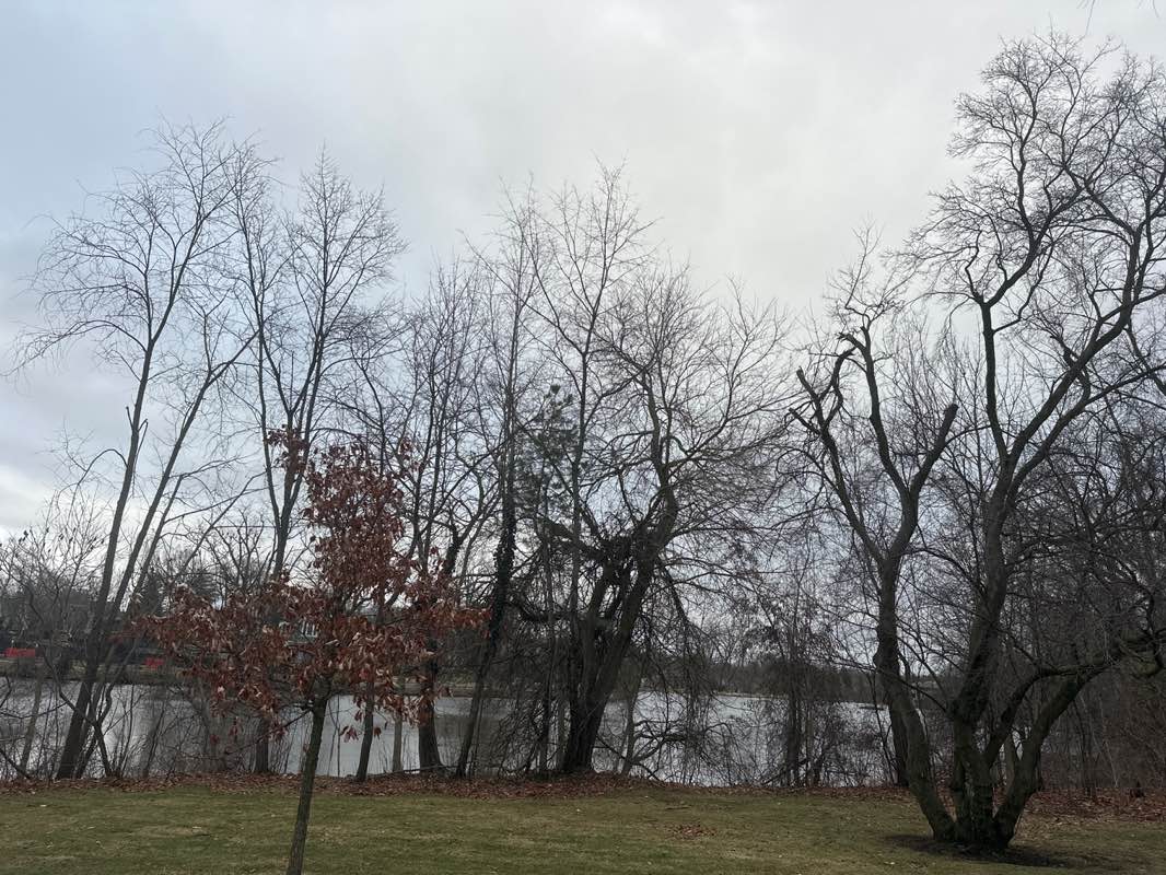 walking near me in Quarton Lake Park in spring