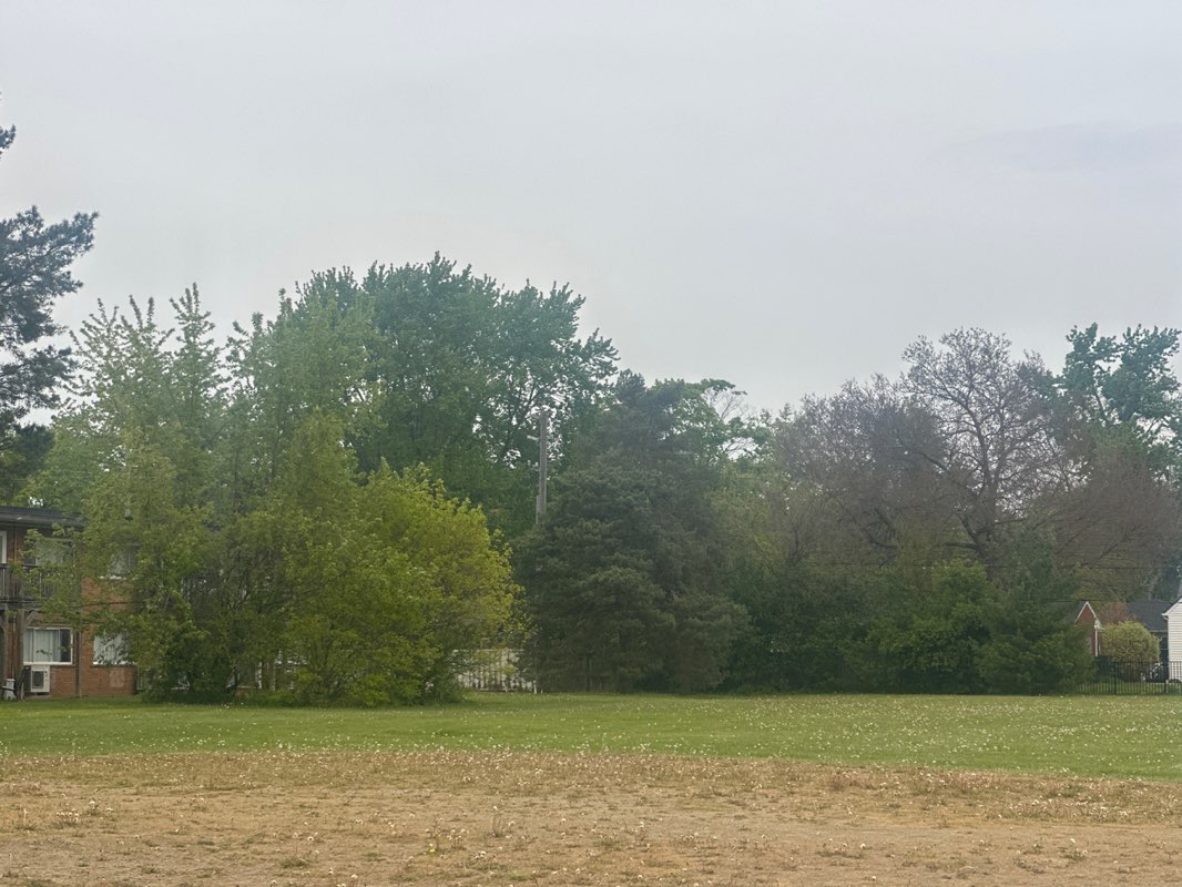 walking near me in Dickinson Park in spring