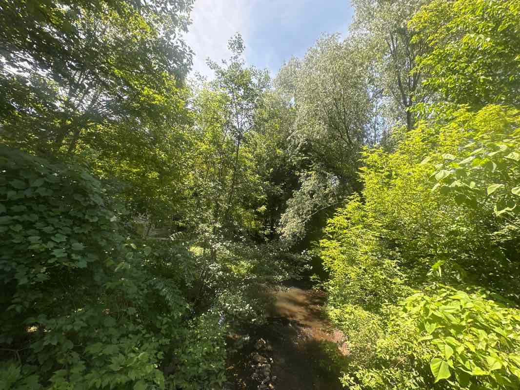 walking near me in Redding Well Site in summer