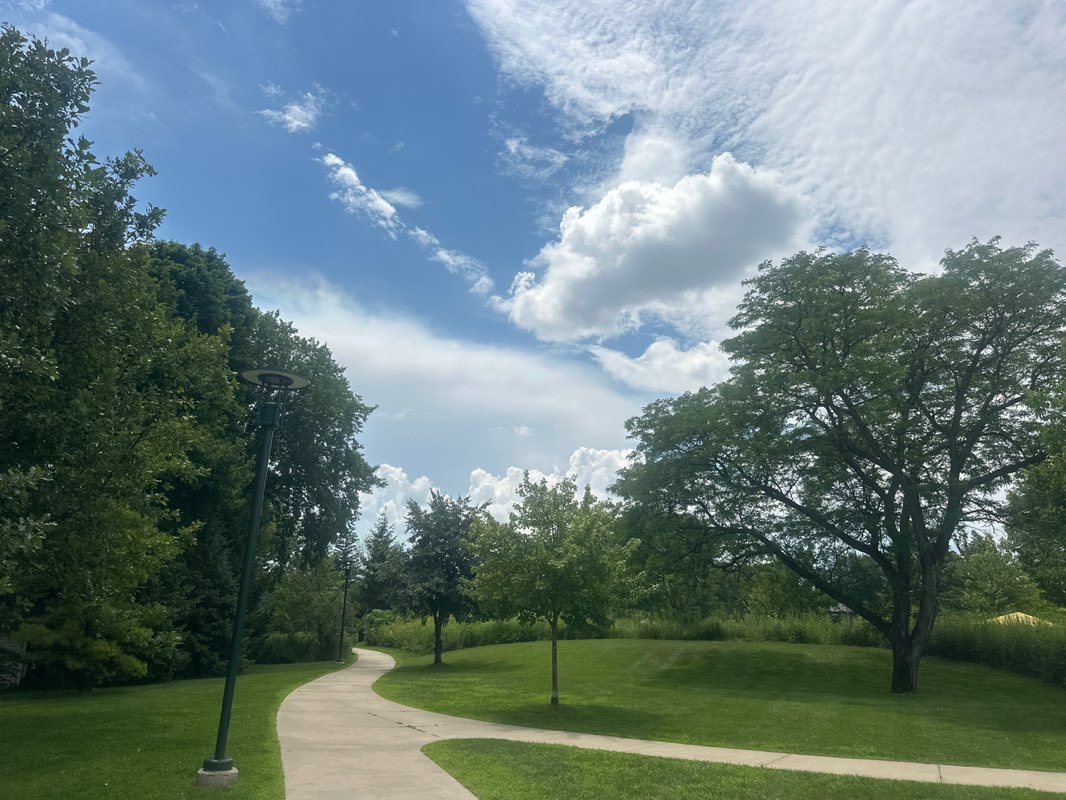 walking near me in Barnum Park in summer
