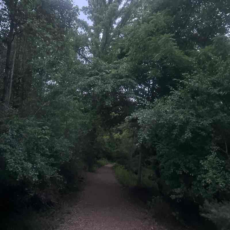 Dawn post 1