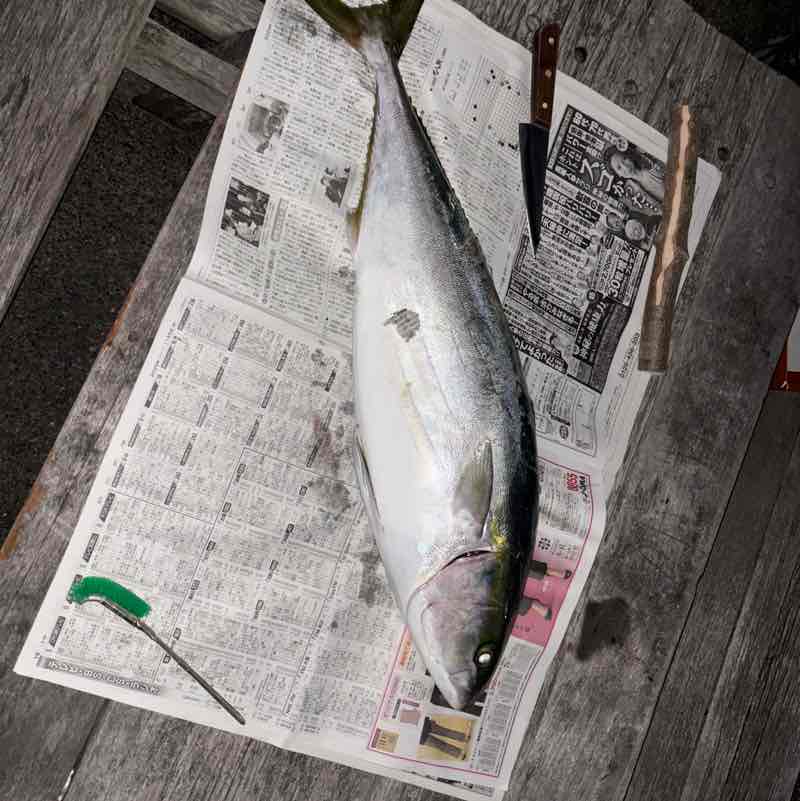 福岡、よかとこ隊（たい） メル post image