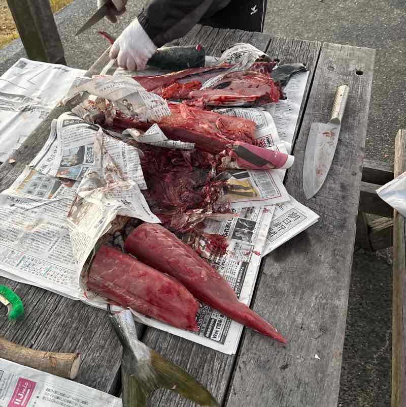 福岡、よかとこ隊（たい） メル post image