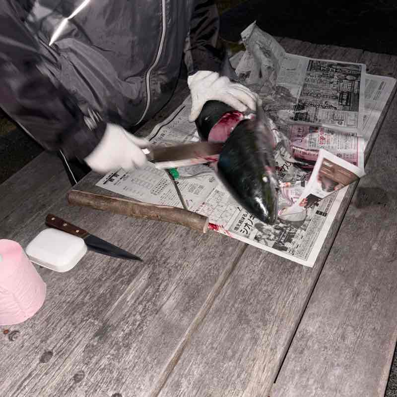 福岡、よかとこ隊（たい） メル post image