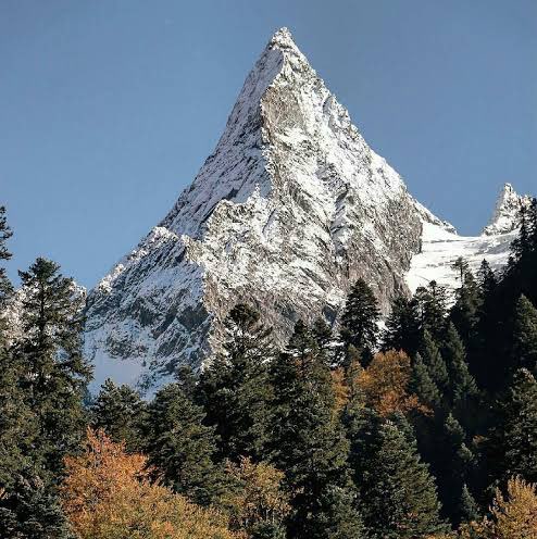 Мотиватор profile