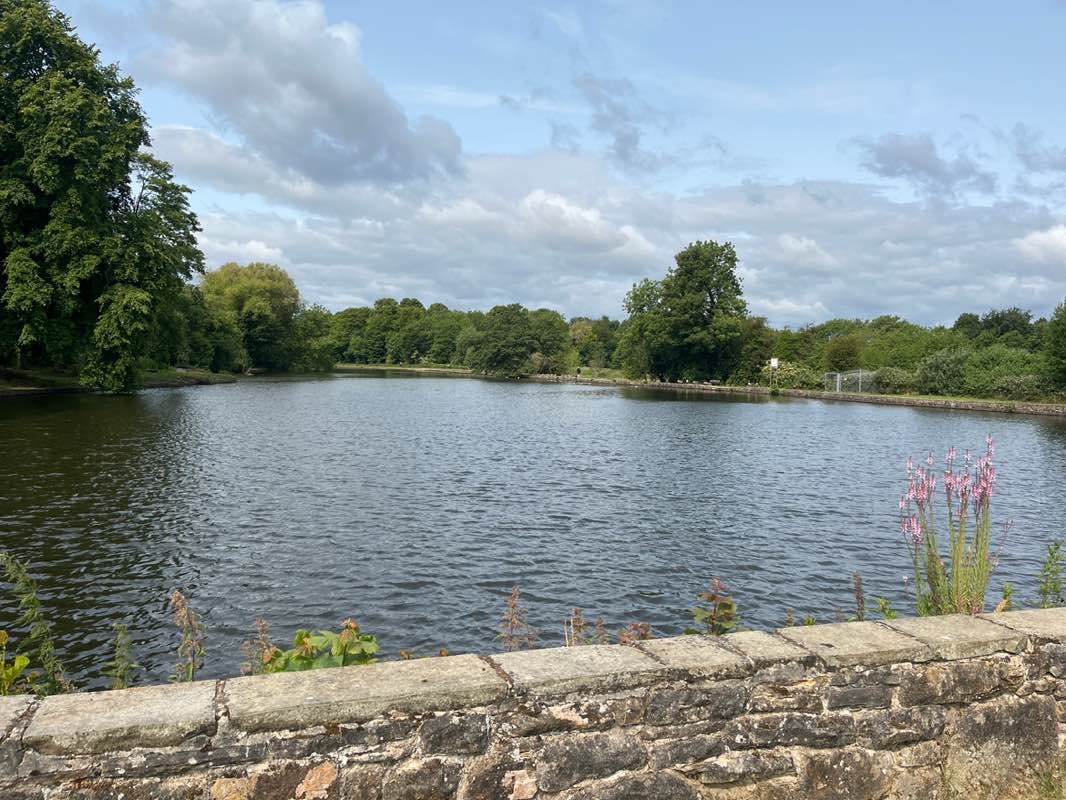 walking near me in Walton Park in summer