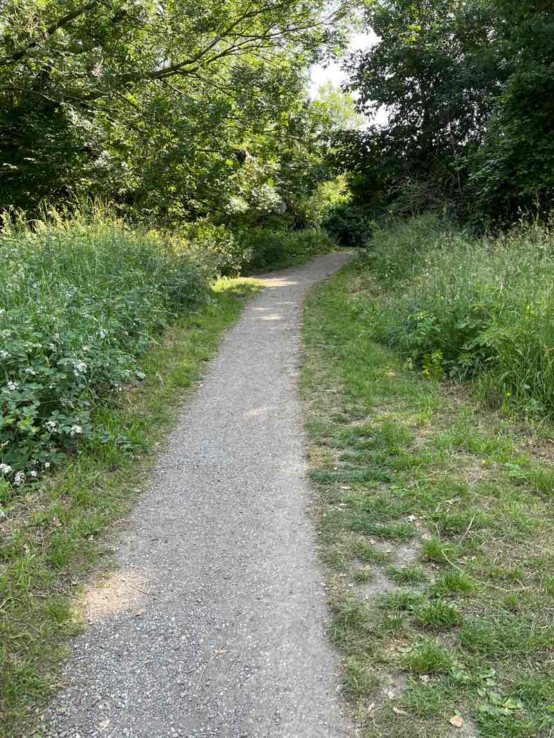 walking near me in Somersall Park in summer