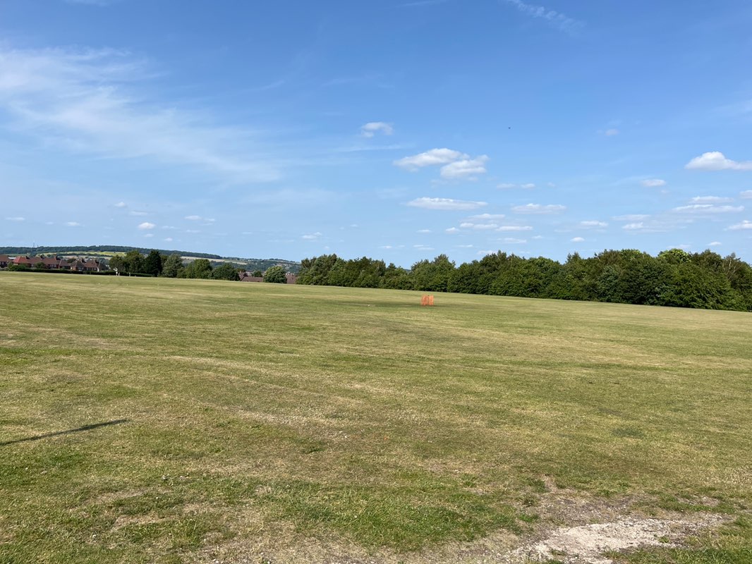 walking near me in Highfield Park in summer