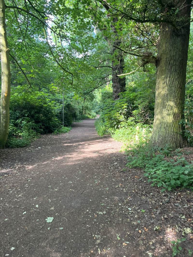 walking near me in Alfreton Park in summer
