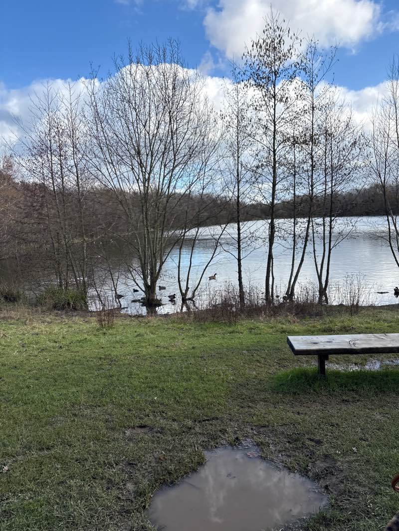 walking near me in Holmebrook Valley Country Park in winter
