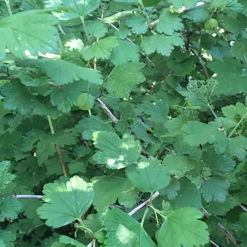 happycamper72 post 2