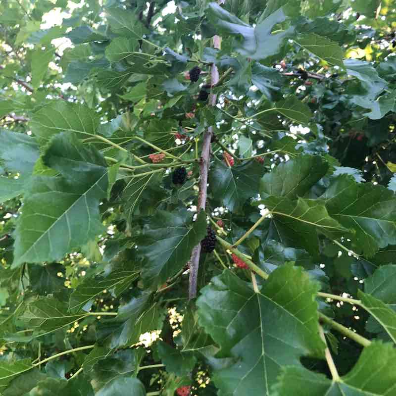 happycamper72 post 1