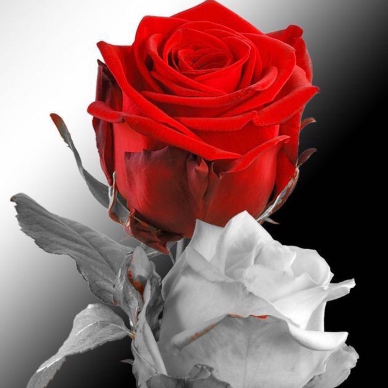 vale 67🏃‍♀️🌹🌹🌹🍀🍀🍀💋🌻🌻🌻⭐️⭐️⭐️🌈🌈🌈🔥🔥🔥🌊🌊🌊