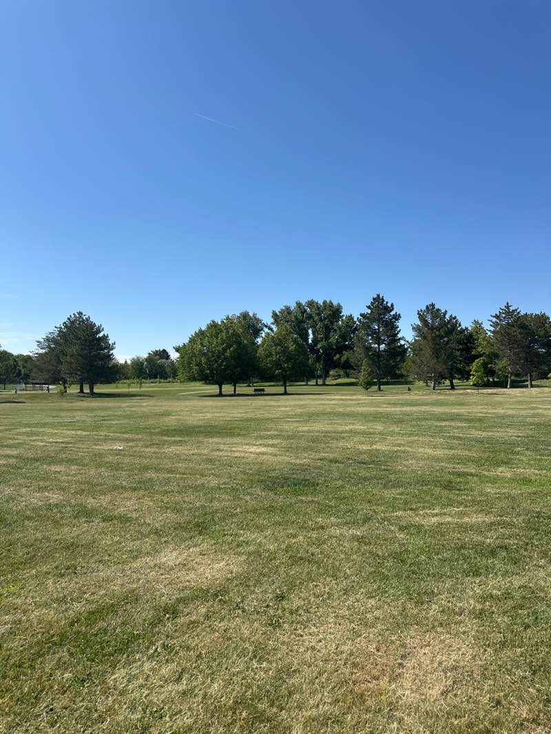 walking near me in Cottonwood Park in summer