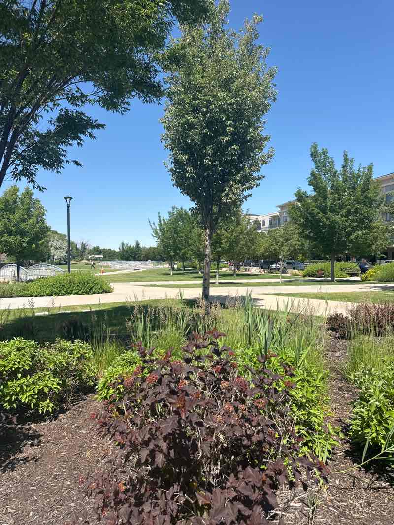 walking near me in Fairbourne Station in summer