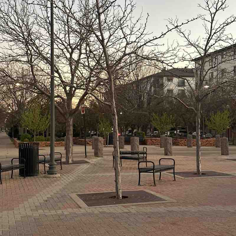 Nightster Neilster post 1