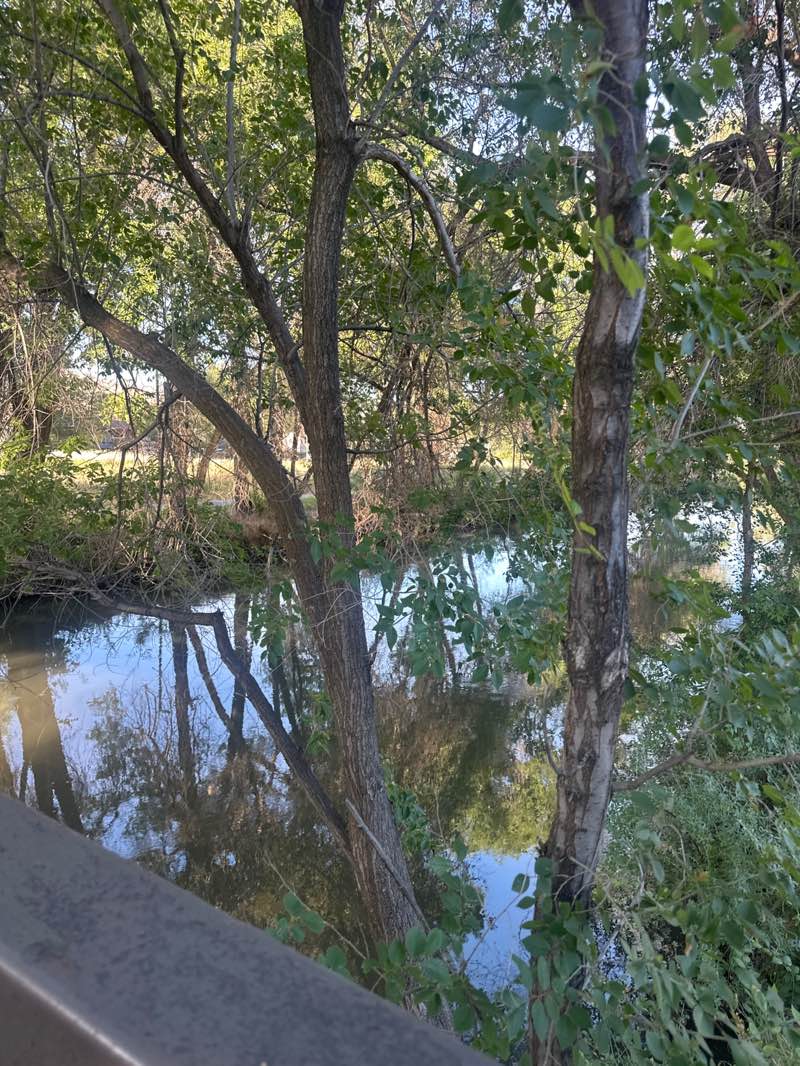 walking near me in Cottonwood Park in summer
