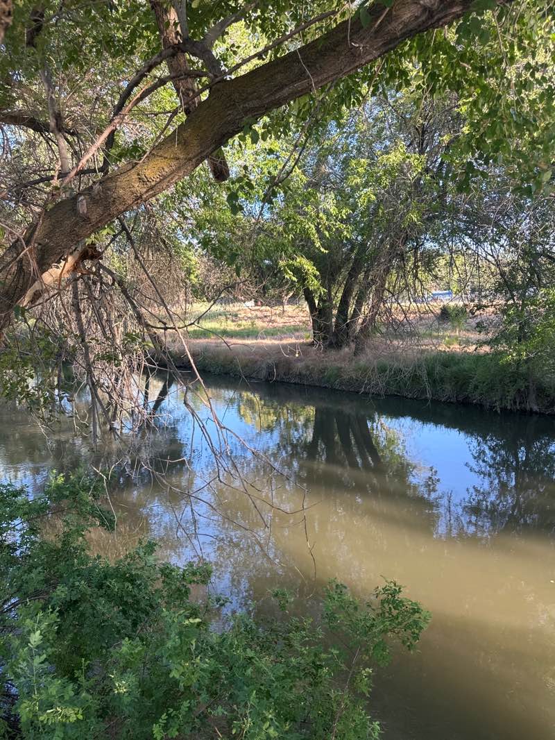 walking near me in Cottonwood Park in summer