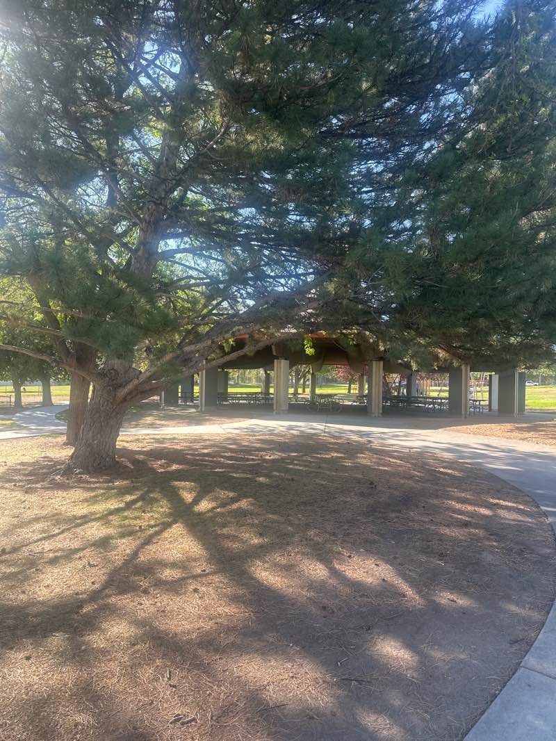 walking near me in Southridge Park in summer