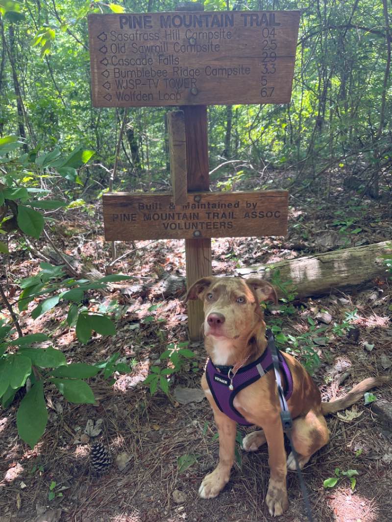 walking near me in F. D. Roosevelt State Park in winter