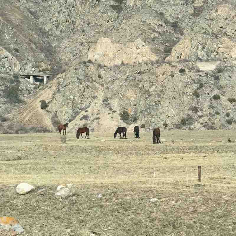 Natali 🐯🚴‍♀️🏄‍♀️⛷️ post 3