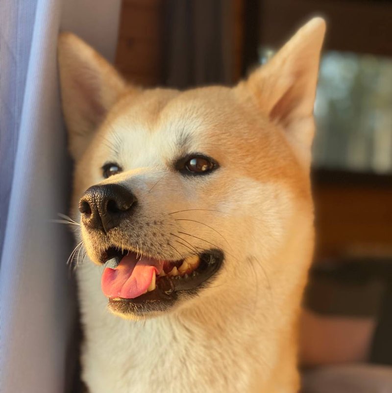 Иван Титов profile