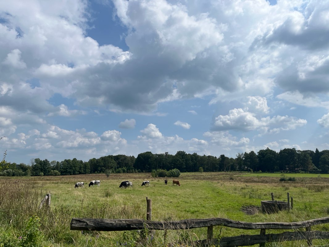 walking near me in Stadtpark der Stadt Gronau in winter