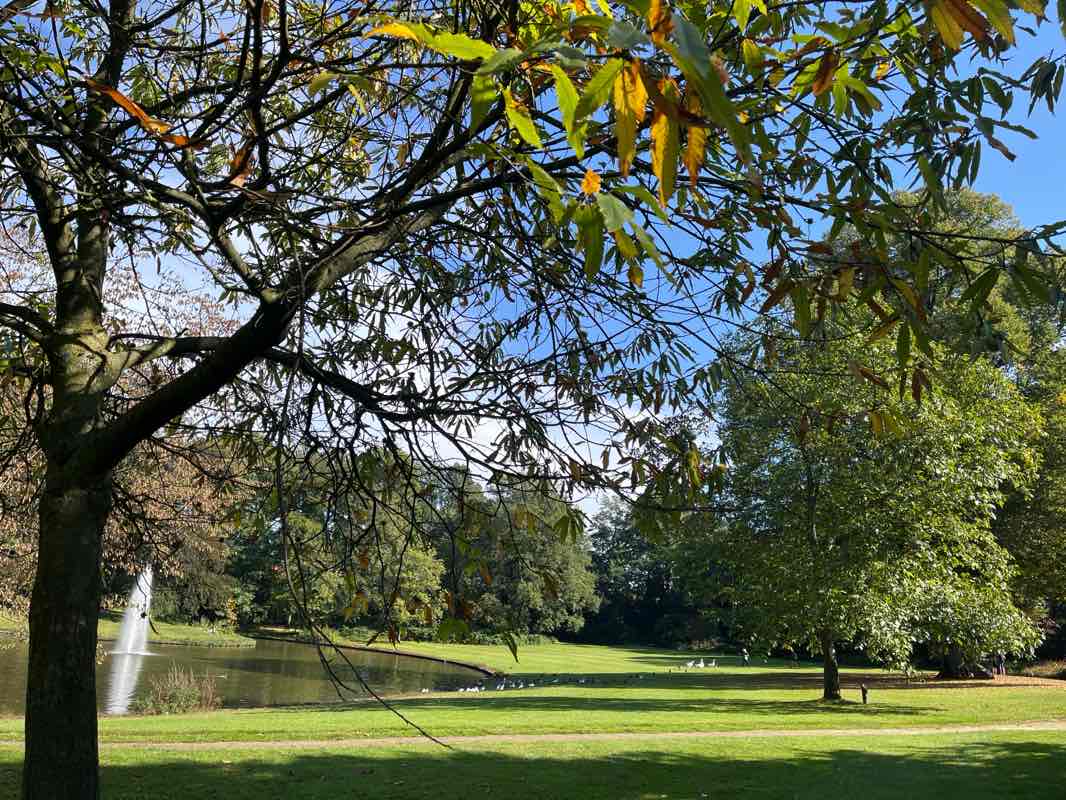 walking near me in Wesselerbrinkpark in winter