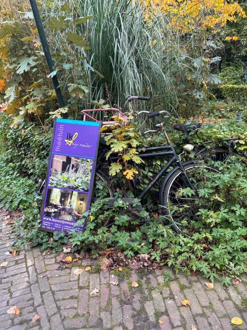 walking near me in Florapark in autumn