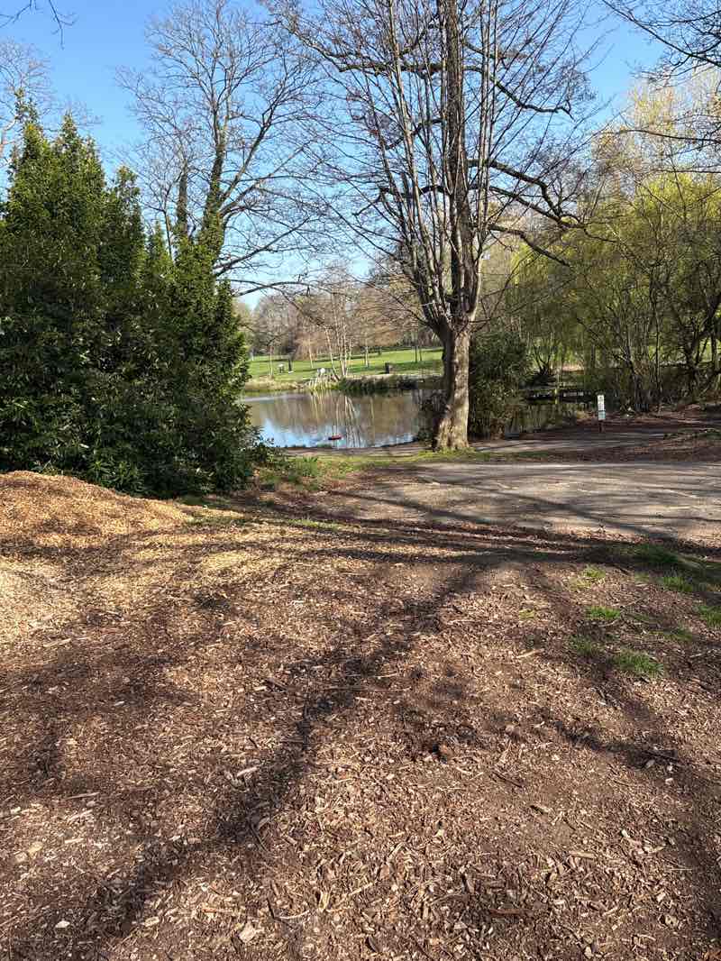 walking near me in Acton Park in spring