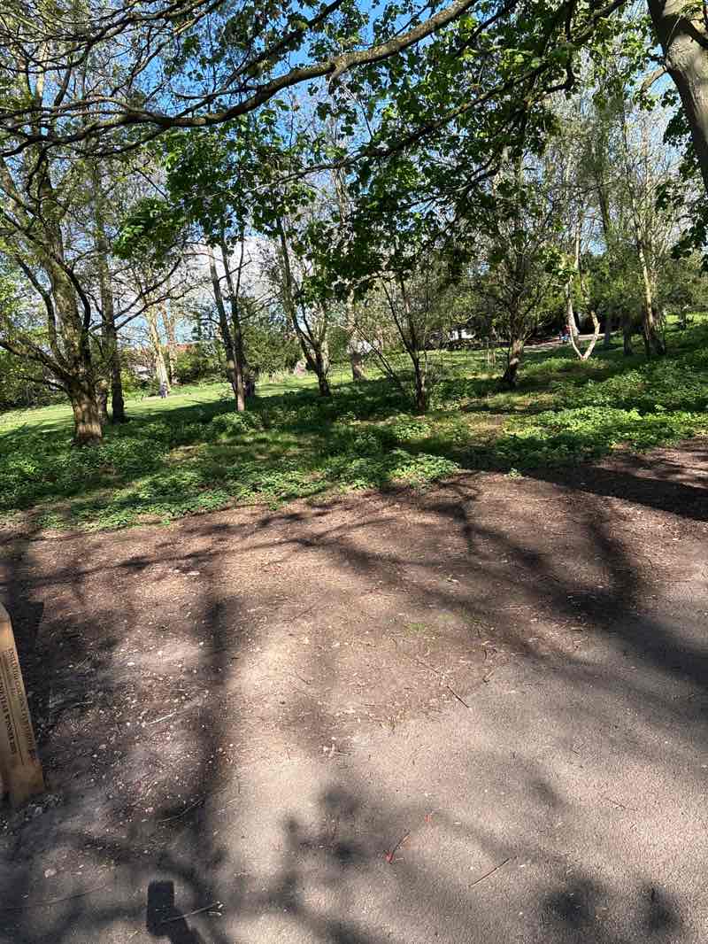 walking near me in Acton Park in spring