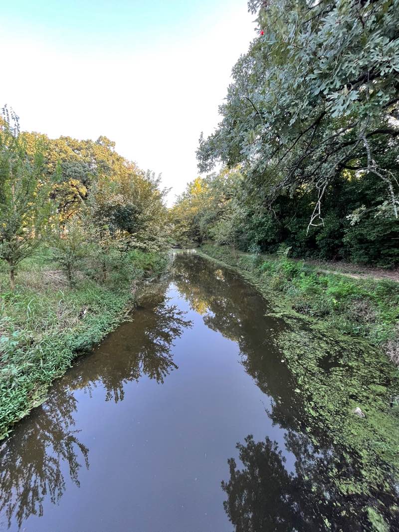 walking near me in Randol Mill Park in autumn