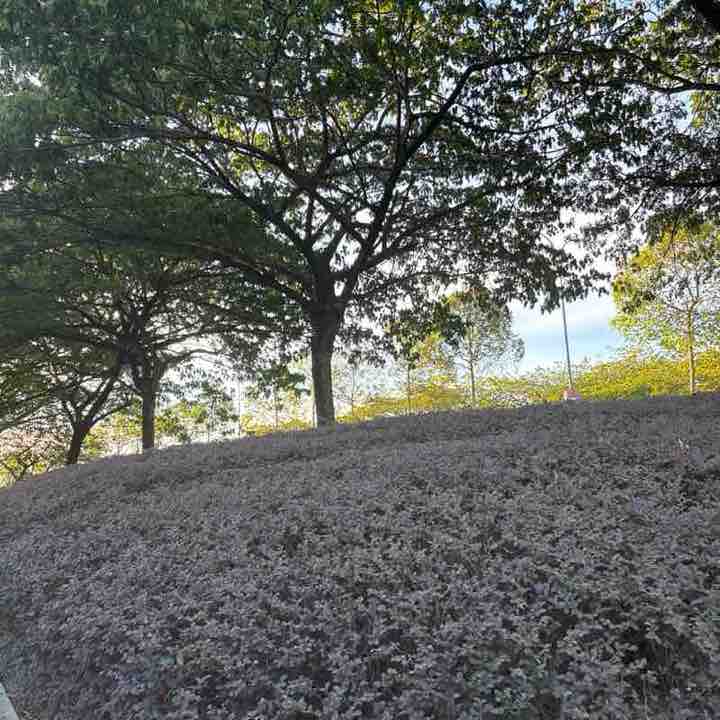 Siti Khadijah post 1