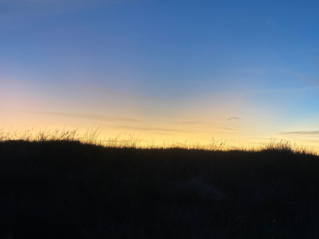 walking near me in Esplanade Reserve in summer