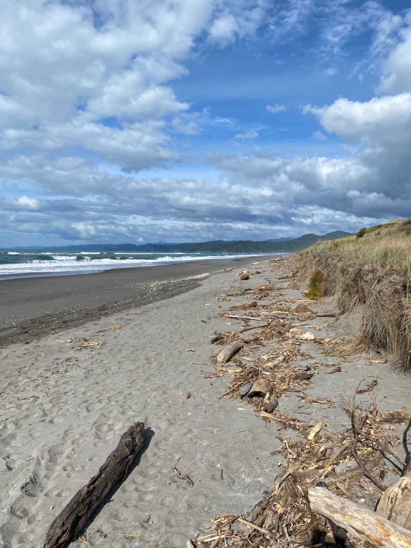 walking near me in War Memorial Park in summer