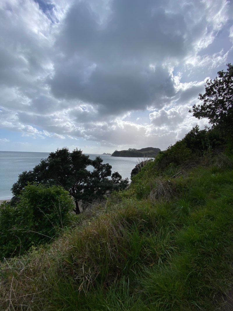 walking near me in Matapana Reserve in summer