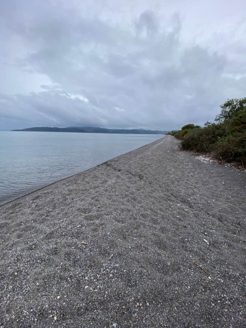 walking near me in Five Mile Bay Reserve in summer
