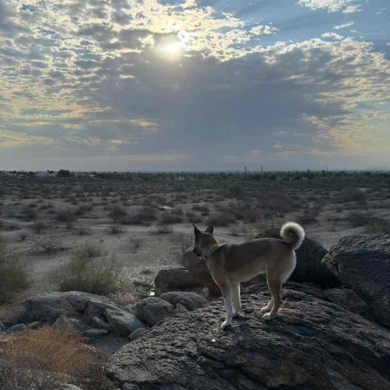 jami ☀️🌵🥾💚🦋; post 2