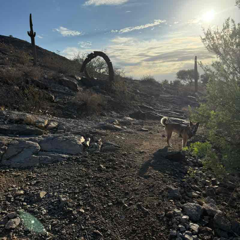 jami ☀️🌵🥾💚🦋; post 1