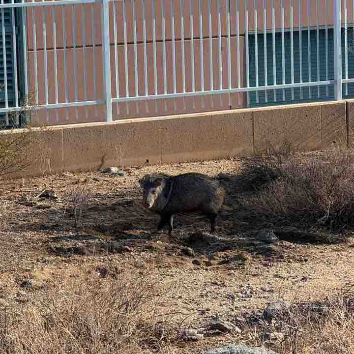 jami ☀️🌵🥾💚🦋; post 1