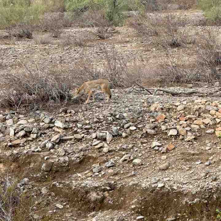 jami ☀️🌵🥾💚🦋; post 1