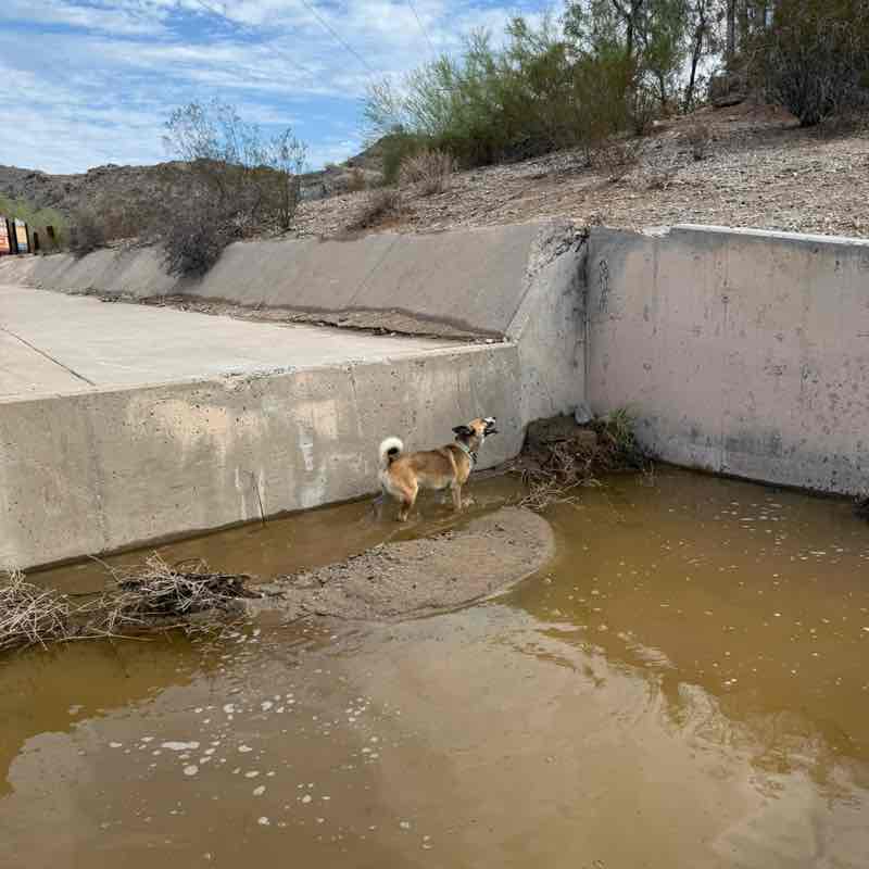 jami ☀️🌵🥾💚🦋; post 2