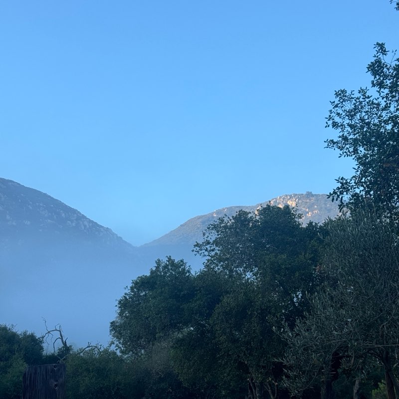walking near me in Flynn Springs County Park in summer