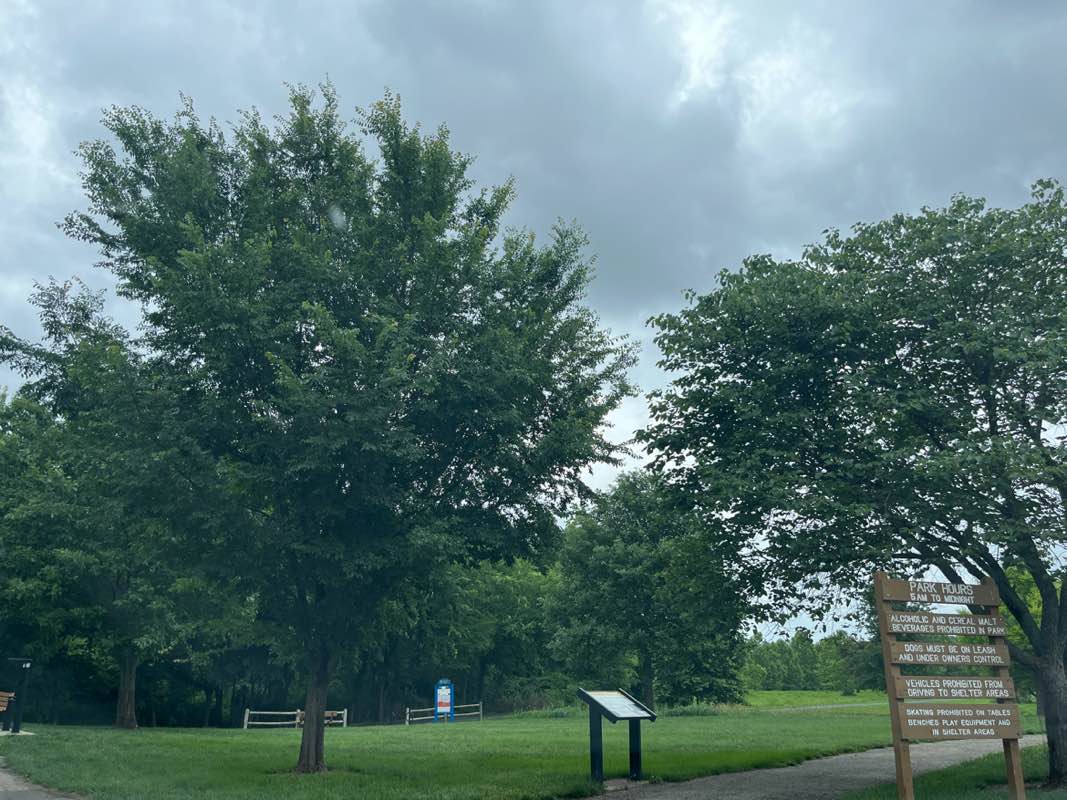 walking near me in Craig Crossing Park in summer