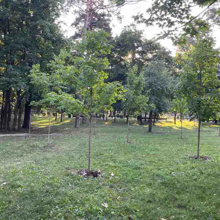 Валентин post 1