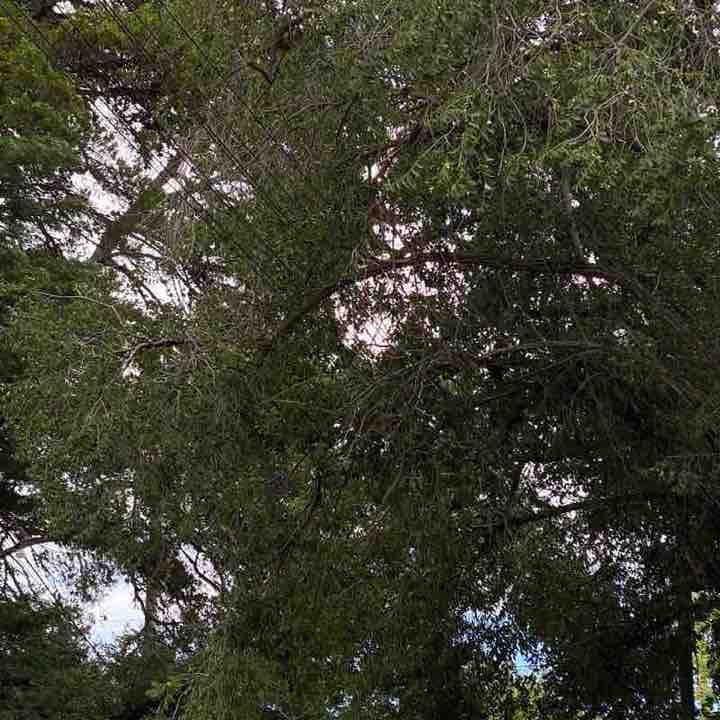 Gentle Walking Илона post image