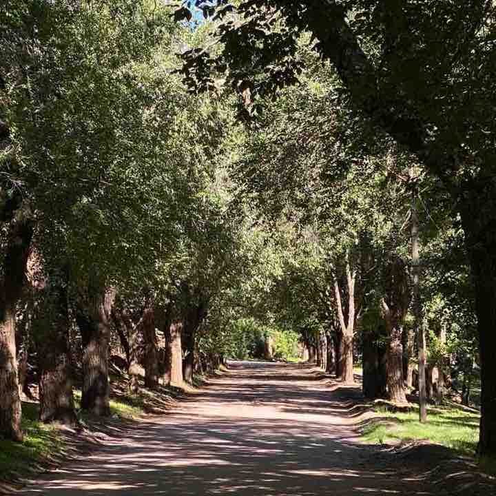 Gentle Walking Илона post image