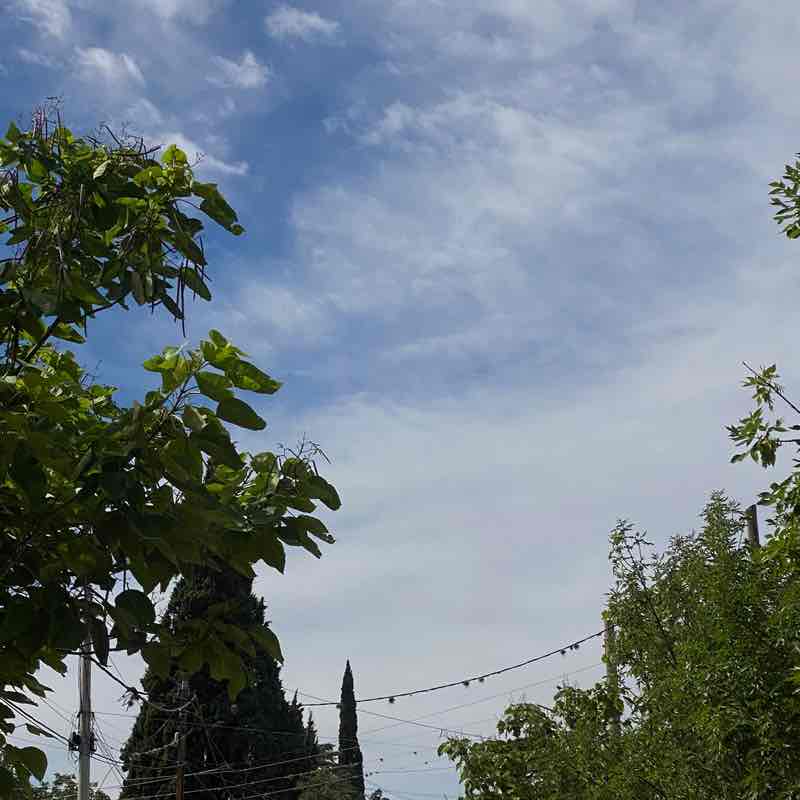 Gentle Walking Илона post image